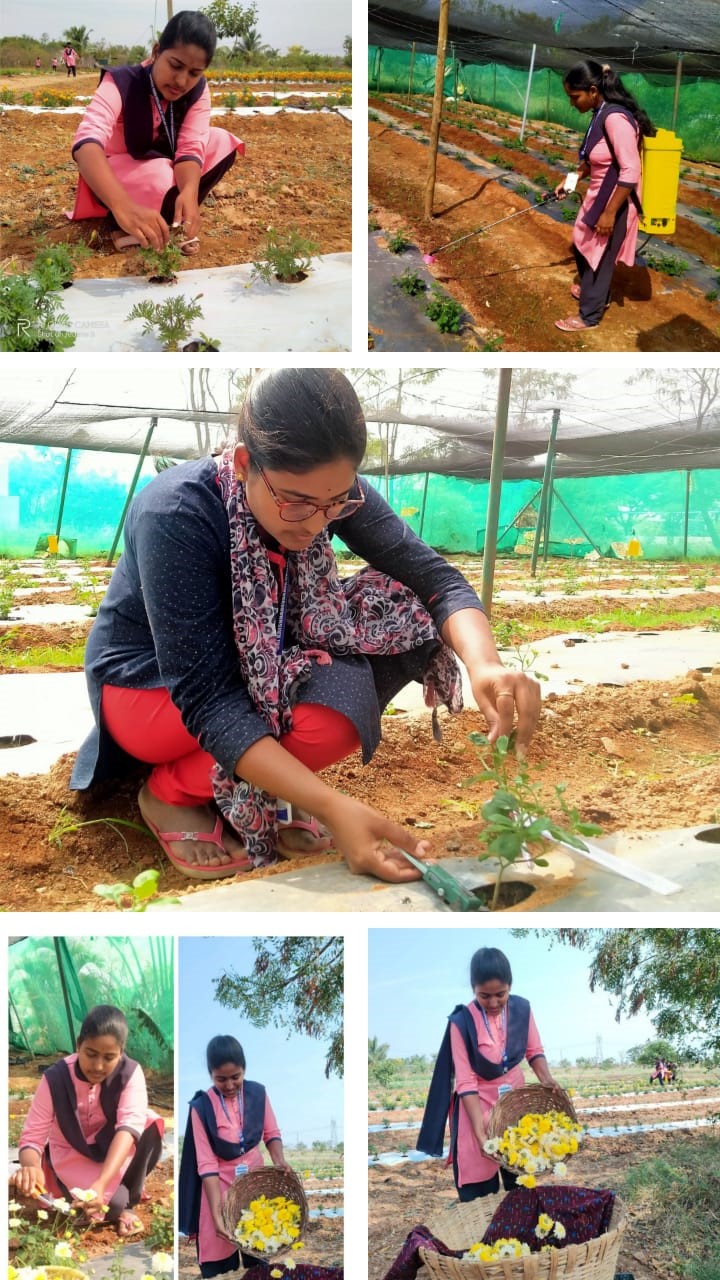 Floriculture